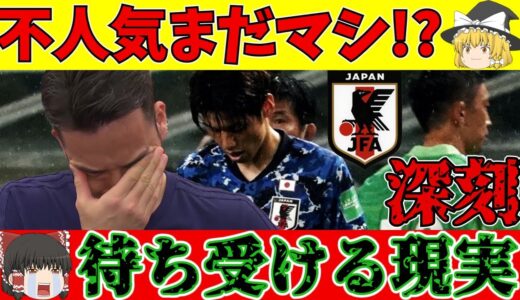 【ゆっくり解説】サッカー日本代表森保一監督だけじゃない不人気はさらに…【サッカー】