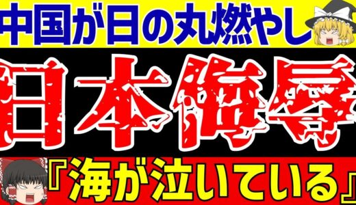 【中国サッカー】ACL浦和レッズ対武漢でサポが日の丸を燃やし暴言連発!!『放射能汚染』が理由か…【ゆっくりサッカー解説】