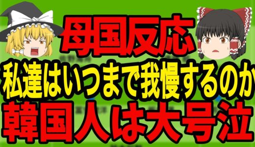 【韓国】韓国が日本と比較をするも、マレーシア戦の結果が悪すぎて立場が逆転してしまう…【サッカー日本代表】